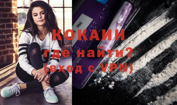 стафф Аркадак