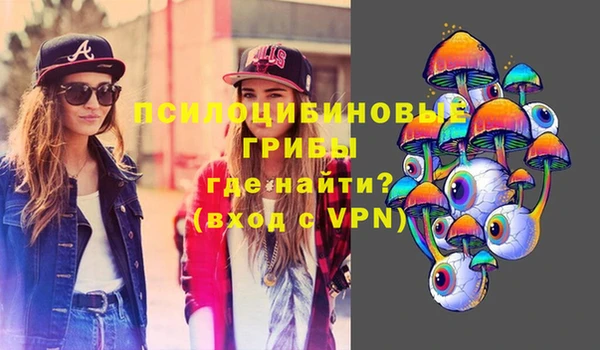 стафф Аркадак