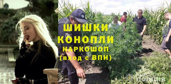 стафф Аркадак