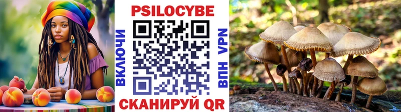 Псилоцибиновые грибы мицелий  Петушки 
