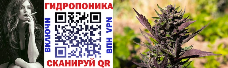 Шишки марихуана Amnesia купить наркоту Петушки